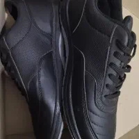 کفش|کیف، کفش، کمربند|دهگلان, |دیوار