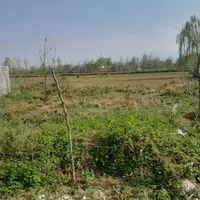 زمین مسکونی لاهیجان ویو ابدی تالاب