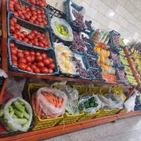 ویترین میوه قیمت توافقی|فروشگاه و مغازه|تهران, شهران شمالی|دیوار