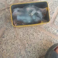 کاربراتور ۱۵۰ فروشی نو صفر|قطعات یدکی و لوازم جانبی|بم, |دیوار