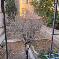 ۶۴ متر تهرانسر اصلی|فروش آپارتمان|تهران, تهرانسر مرکزی|دیوار
