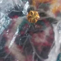 شکوفه بینی یا همون پولوک