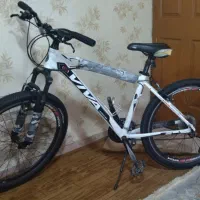 دوچرخه Viva Senator