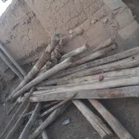 چوب خشک آلیریخ