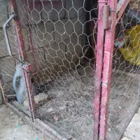 یک عدد تور مرغی فروشی سالم