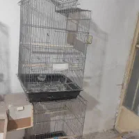 قفس عروس هلندی  و طوطی 1033|لوازم جانبی حیوانات|مشکین‌دشت, |دیوار