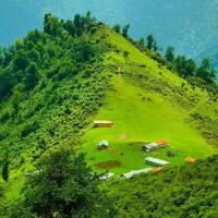 لیدر و راهنما همراه با خودرو