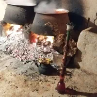 رب خانگی و اتیشی ارگانیک