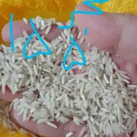 برنج فجرخوش پخت خوش طعم|عمده‌فروشی|گنبد کاووس, |دیوار