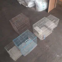 قفس ، قفس قناری ، قفس طوطی ، مرغ عشق|لوازم جانبی حیوانات|رباطکریم, نوده|دیوار