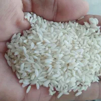 برنج لنجان درجه یک