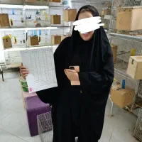 سالن طوطی نویان پاروت کوتوله عروس قناری کفتر|پرنده|مشهد, فاطمیه|دیوار