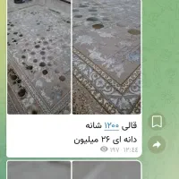 فروش انواع فرش های ماشینی|فرش|کاشمر, |دیوار