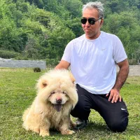 چاوچاو چاو چاو چائو چائو chowchow|سگ|تهران, محمودیه|دیوار