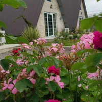 کلبه های سوئیسی آبشارشیرآباد|اجارهٔ کوتاهمدت ویلا و باغ|خان ببین, |دیوار