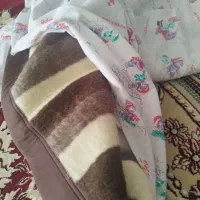 لحاف پتو متکا بخارشو قابلمه نسوز پشت سایپا|فرش|مرودشت, پشت سایپا‎|دیوار