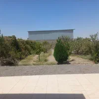 گاوداری5000متری فول امکانات|فروش دفتر صنعتی، کشاورزی، تجاری|رفسنجان, |دیوار