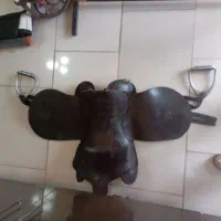 زین عبدالخالق اصلی|اسب و تجهیزات اسب‌سواری|کاشمر, |دیوار