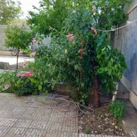 فروش خانه ویلایی در تیران وکرون|فروش خانه و ویلا|اصفهان, تیران|دیوار