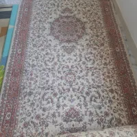 فرش|فرش|مشکیندشت, |دیوار