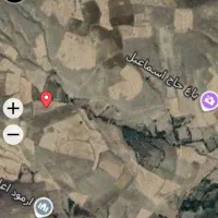 زمین زراعی 8000متر|فروش دفتر صنعتی، کشاورزی، تجاری|خلخال, |دیوار