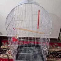 قفس در حد نو
