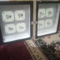 دوعددپرژکتور