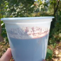 رب انار.آب انار ۱۰۰٪طبیعی.زیتون رودبار .روغن زیتون|خوردنی و آشامیدنی|رودبار, |دیوار