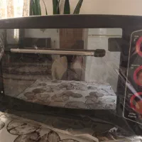 تستر در حد نو|اجاق گاز و لوازم برقی پخت‌وپز|اراک, |دیوار