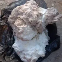 استفراغ نهنگ عنبر ونهنگ شهب|آرایشی، بهداشتی، درمانی|هندیجان, |دیوار