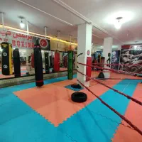 باشگاه ستارگان رزمی