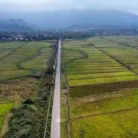 هلیشات برای مراسم و کسب و کار|خدمات پذیرایی، مراسم|لاهیجان, شیشه گران|دیوار