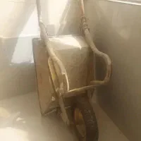 فرغون