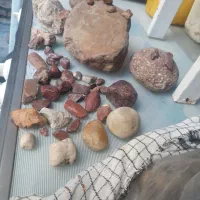 سنگهای قیمتی ویک سطل تاریخی