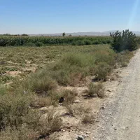 زمین ۱۸۲۲ متری با قابلیت ساخت شهرستانک رباط کریم|فروش زمین و ملک کلنگی|رباط‌کریم, شهرستانک|دیوار