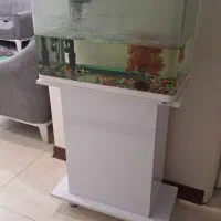 آکواریوم|ماهی|تهران, والفجر (افسریه)|دیوار