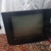 تلویزیون