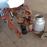 شیر دوش گاو. مارک (صبا شیر دوش)
