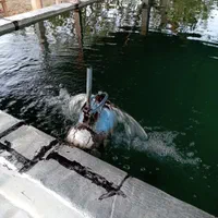 باغ به متراژ ۲۰۰۰متر در شربیان|فروش خانه و ویلا|مهربان, |دیوار