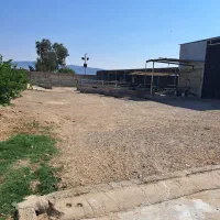 گاوداری-فروشی