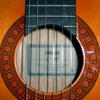 فروش ویژه گیتار C40-C70-C80|گیتار، بیس، امپلیفایر|تهران, آزادشهر|دیوار