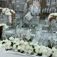 سالن عقد سالن مراسم  سالن جشن رویایی