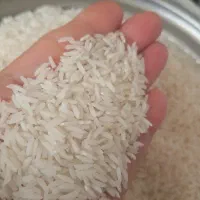 برنج هاشمی دانه بلند چون ما دو نوع هاشمی