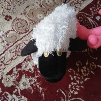 عروسک|اسباب‌‌بازی|اصفهان, شفق|دیوار