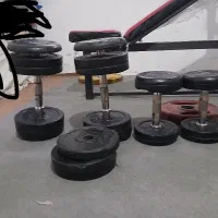 دمبل و هالتر و میز بدنسازی