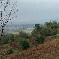 ۲۰۰متر زمین باغی ( کلبه نیمه ساخت سوئیسی )|فروش زمین و ملک کلنگی|سیاهکل, |دیوار