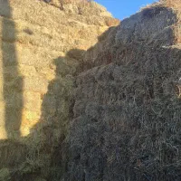 پرس یونجه و علف و پرس کاه