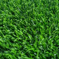 پخش و فروش چمن مصنوعی و فنس چمنی و برگی و گرینوال