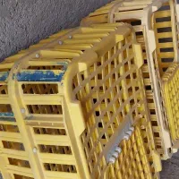 جعبهی حیوانات