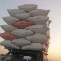 کاه گندم باکیفیت وعالی..